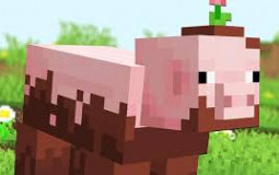 Minecraft Foods