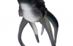 Subnautica Creatures