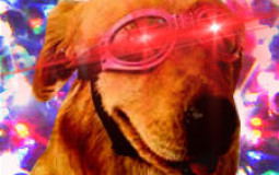 felluvz pets