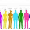 Height Comparison Avatar