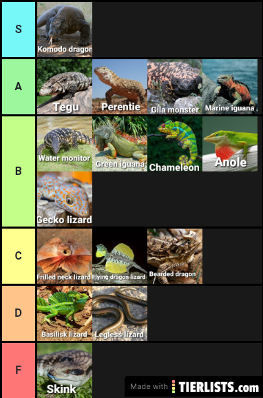 Lizard tier list