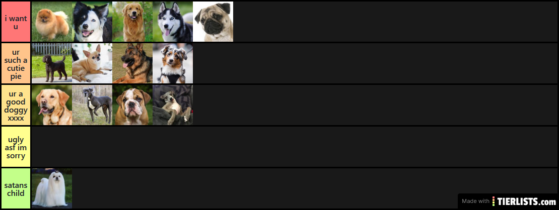 my fav dog breeds