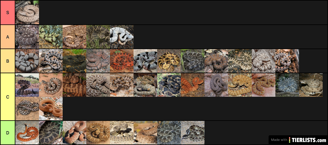 obscurus is god tier