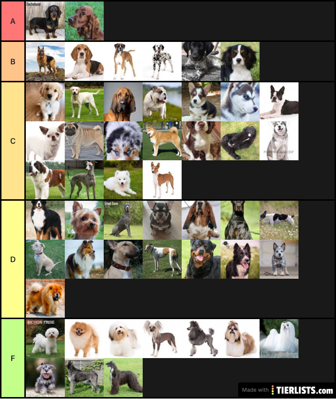 Rating my favorite dog breeds