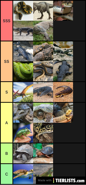 Reptiles (Nonfictional)