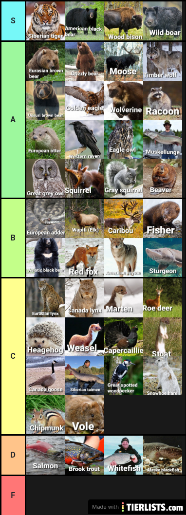 Taiga tier list