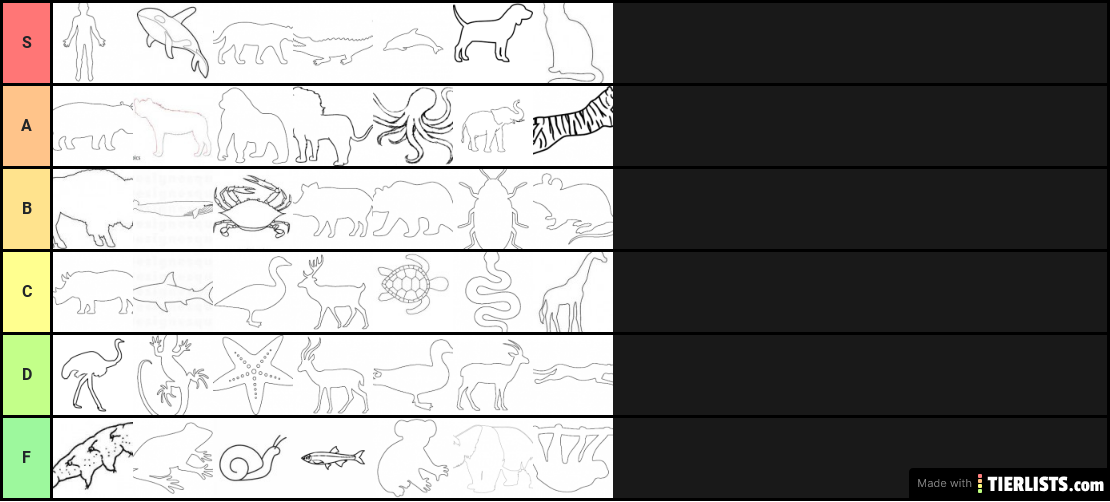 tierzoo tier list