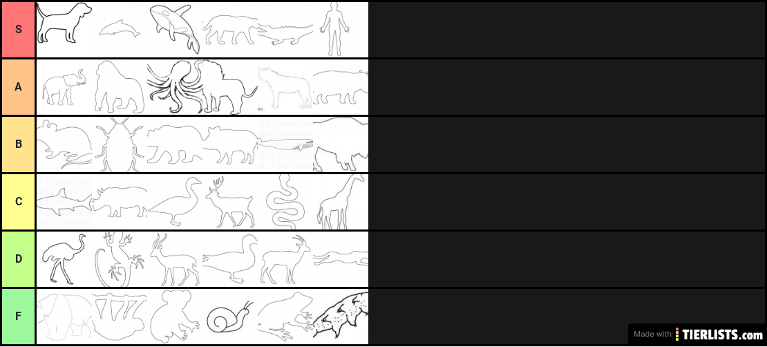 tierzoo tier list