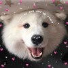 ZIPER Avatar